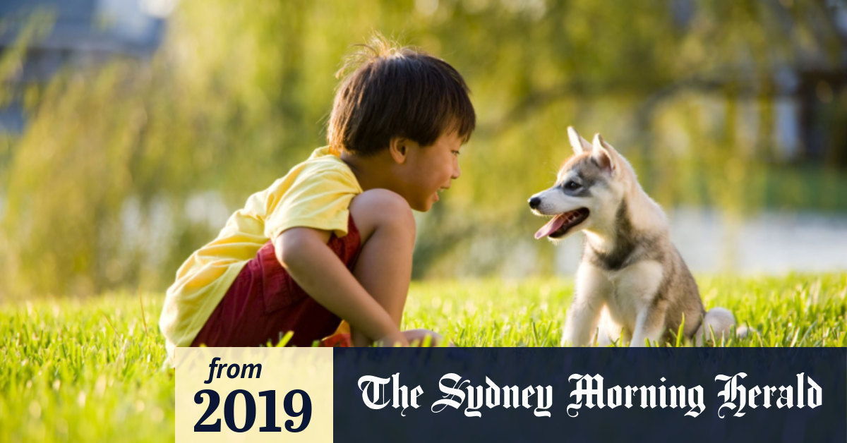 Is A Dog More Expensive Than A Child